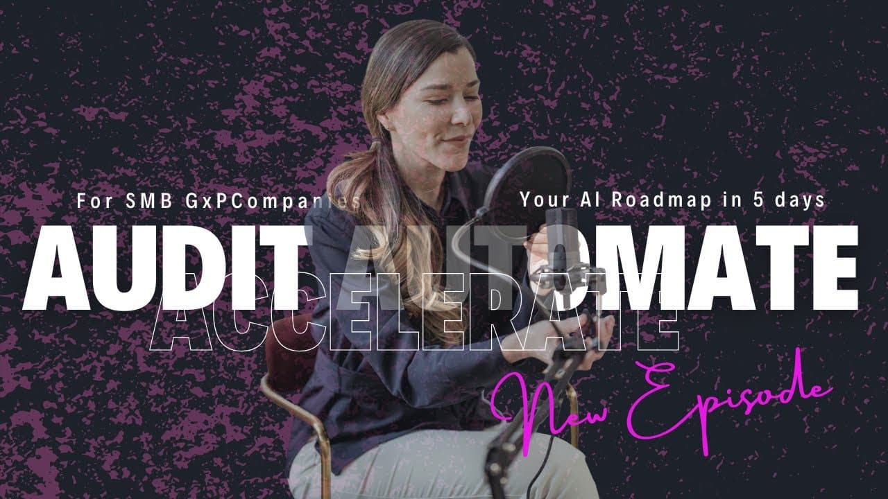 Audit Automate Accelerate Documentary