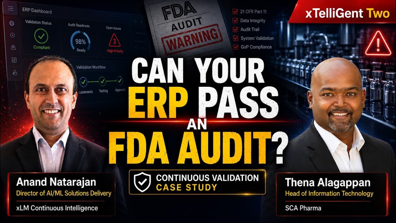 xTelliGent Two: Case Study - ERP Continuous Validation Project